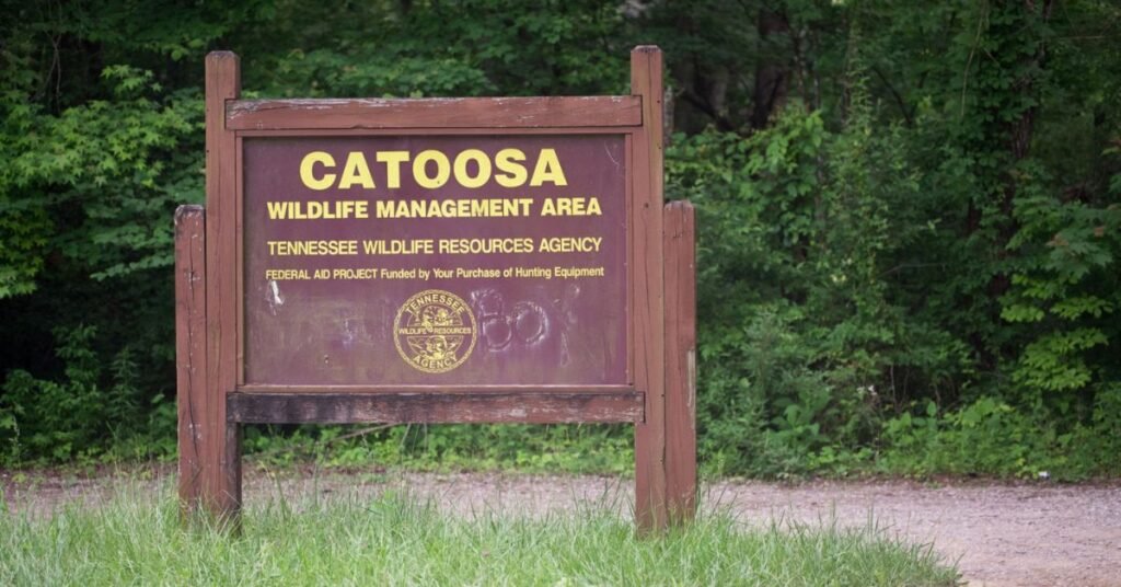 catoosa wildlife management area