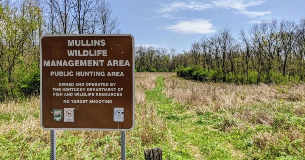 croom wildlife management area