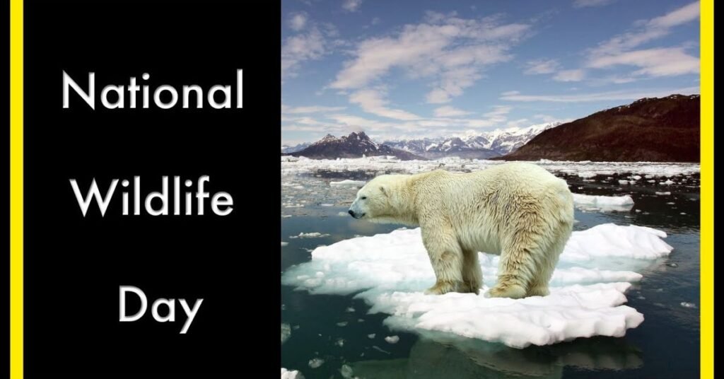 national wildlife day