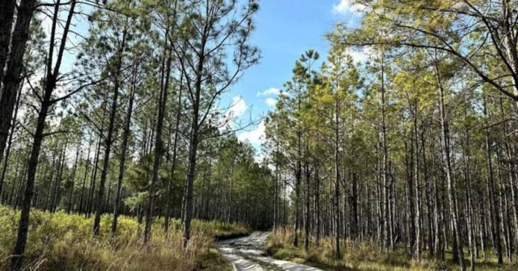 richloam wildlife management area