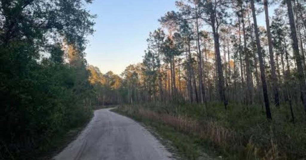richloam wildlife management area