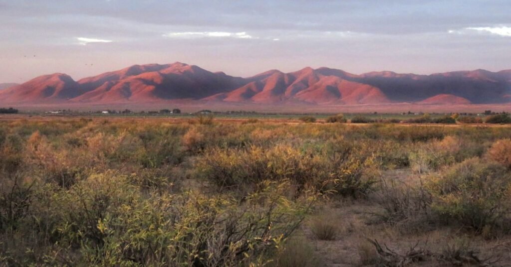 whitewater draw wildlife area