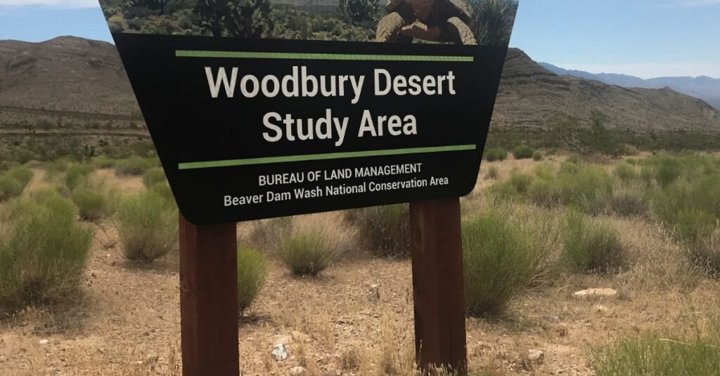 woodbury wildlife area
