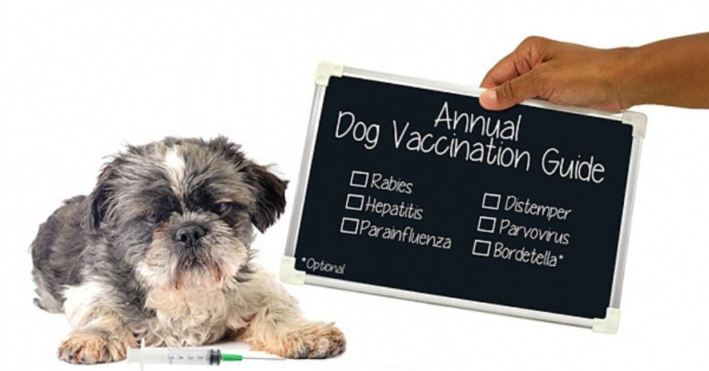 pet vaccination guide