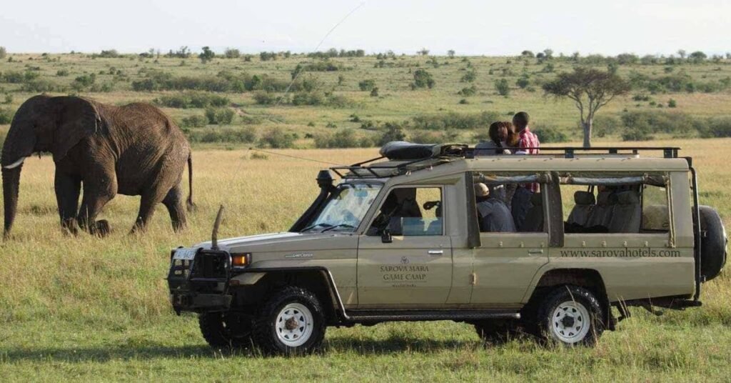 African safari tours