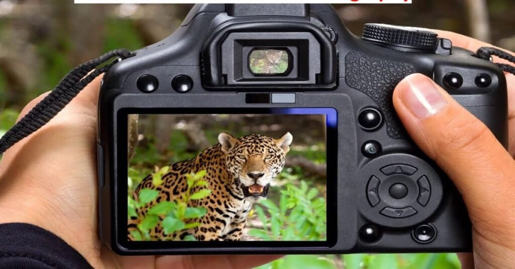 Best camera for wildlife photography