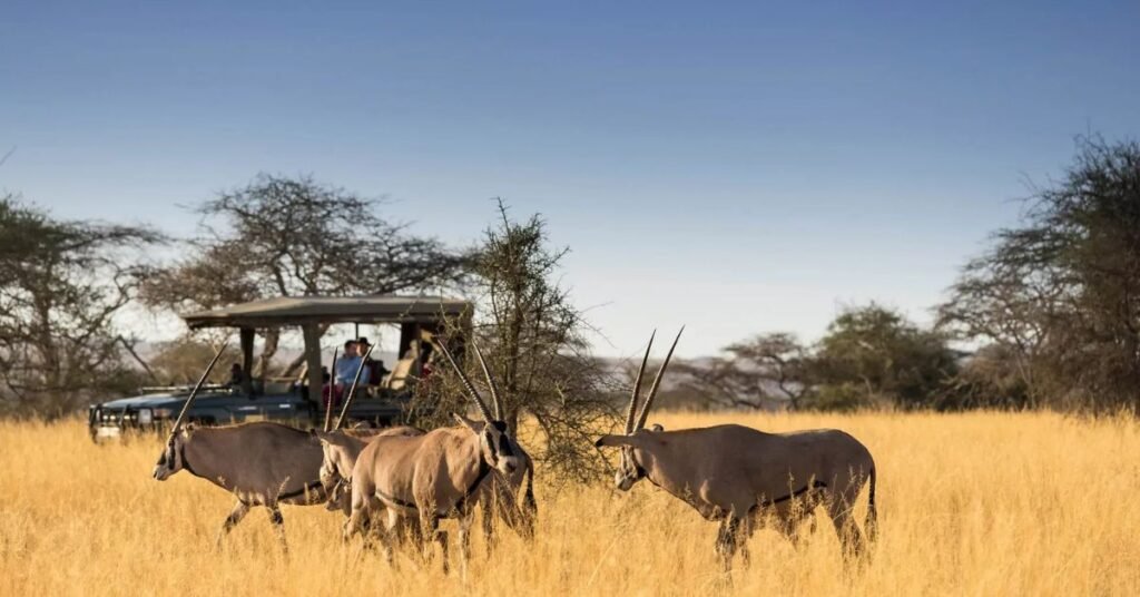 Kenya safari packages