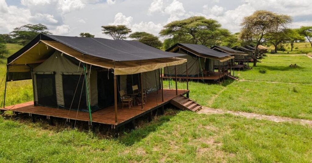 Tanzania safari cost