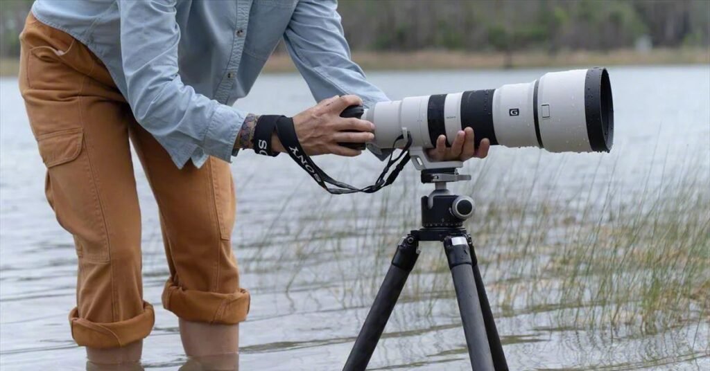 Wildlife photography lenses