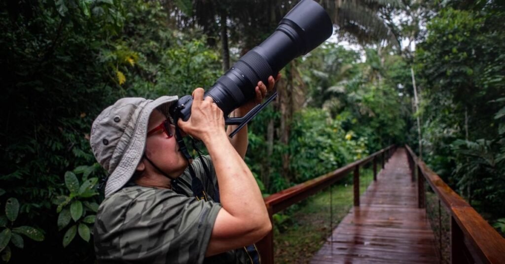 Wildlife photography tours