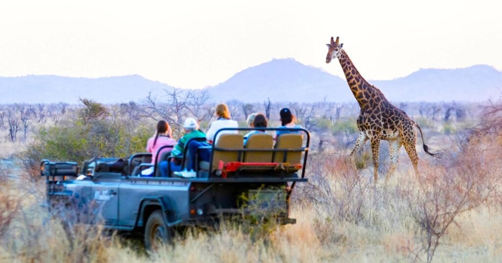 Wildlife travel insurance